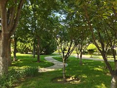 -黑石礁公园