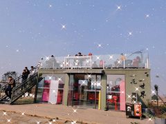 -空港花田景区