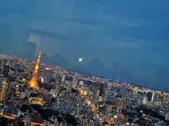 -六本木新城展望台(东京城市景观)
