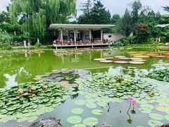 -国家植物园南园