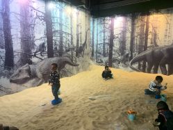 -恐龙探索乐园(磁器口店)