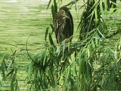 -苏州河梦清园环保主题公园