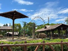 -上海野生动物园