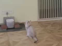 -青柠影咖·私人影院(龙泉店)