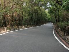 -大屏嶂森林公园
