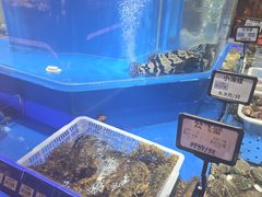 -鲜得莱渔港·小平岛海胆馆(七贤岭店)