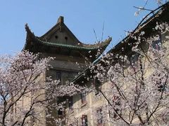 -武汉大学-樱园