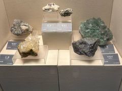 -安徽省地质博物馆