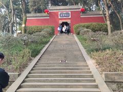 -子昂故里文化旅游区