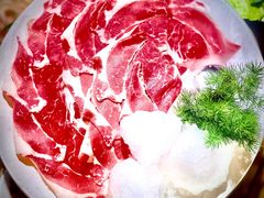 -九鼎轩脆毛肚火锅(三钢里店)