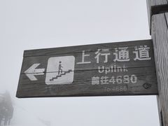 -阿妈土锅鸡