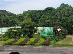 -深圳野生动物园