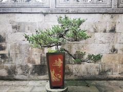 -韬光茶庵