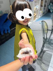-MINI MARS KIDS CLUB亲子家庭中心(长宁天山店)