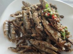 -斐文野奢酒店·私房菜·轻吧