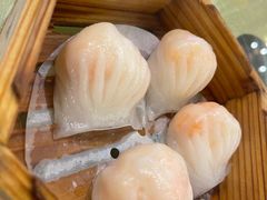 龙庭水晶虾饺皇-龙庭华宴·粤菜·早茶