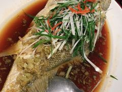 -老吉士酒家(天平路店)