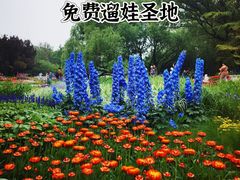 -海淀公园