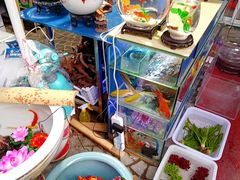 -曲阳花鸟市场(曲阳路店)