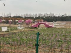 -嘉北郊野公园