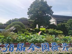 -无锡蠡湖国家湿地公园-蠡园