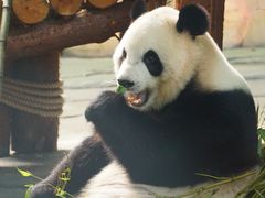 -泉州海丝野生动物世界