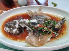 清蒸石斑鱼-荷风细雨·中国茶宴(碧云店)