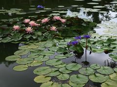 -国家植物园南园