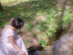 -合肥滨湖国家森林公园