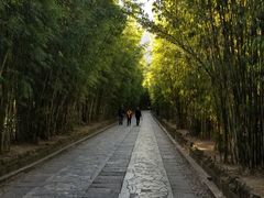 -蝴蝶泉公园