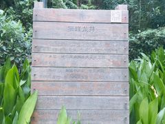 -十八棵（老龙井）御茶园(老龙井店)