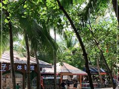 -海南分界洲岛旅游区