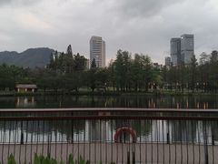 -四海公园(南山区)