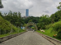 -李宁体育园