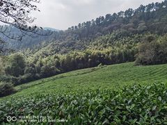 -敬亭山风景名胜区