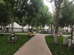 -九十九顶毡房(阜石路店)