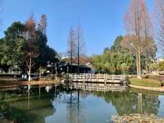 -河泥荡文化公园