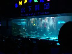 -泉城欧乐堡海洋极地世界
