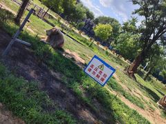 -秦皇岛野生动物园