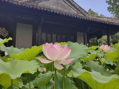 -绍兴鲁迅故里·沈园景区