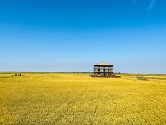 -红海滩国家风景廊道