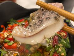 -今日炊牛·潮汕牛肉火锅(华采天地店)