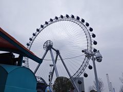 -海合安武汉极地海洋公园