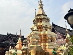 -西双版纳傣族园