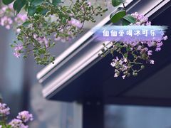 -恬阿姨庭院餐厅·生日宴