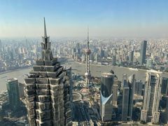 -上海柏悦酒店·世纪100牛排馆