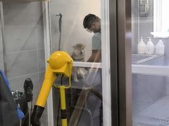 -宠福鑫康馨动物医院·骨科·眼科