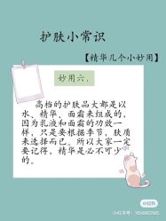 -凡碧诗毛孔清洁收细