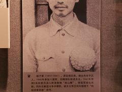 -烟台市博物馆