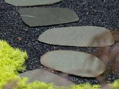 -火炉山森林公园